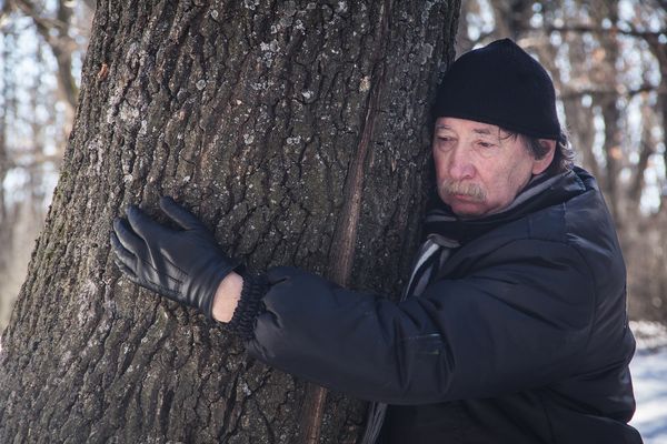 «Окно в Европу-2019»: 5 фильмов, которые стоит ждать