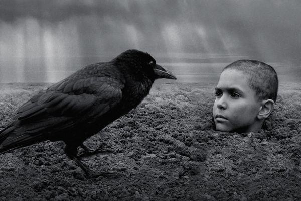 76-й Венецианский кинофестиваль: День пятый и шестой