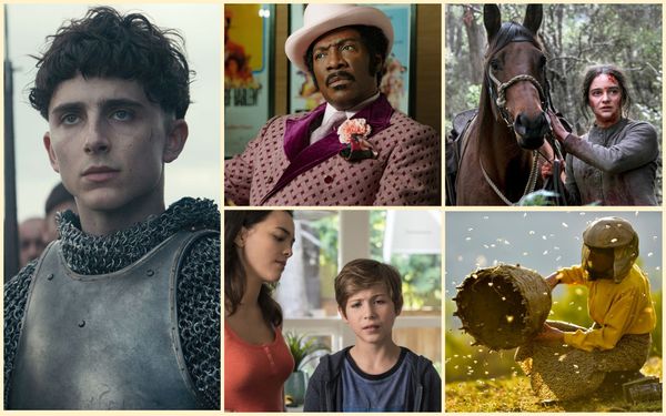 И друг мой ноутбук: 14 фильмов для домашнего просмотра в ноябре